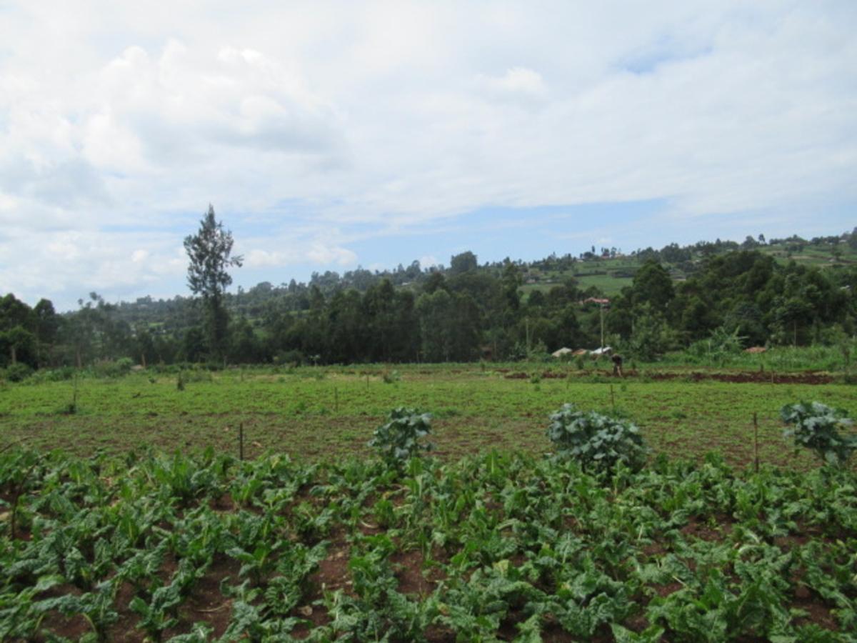 3.25 ac Land at Ngecha-Wangige Rd - 11