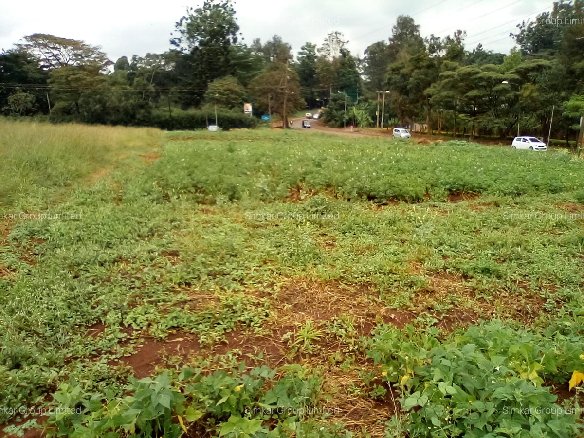 Commercial Property at Red Hill Rd - 11