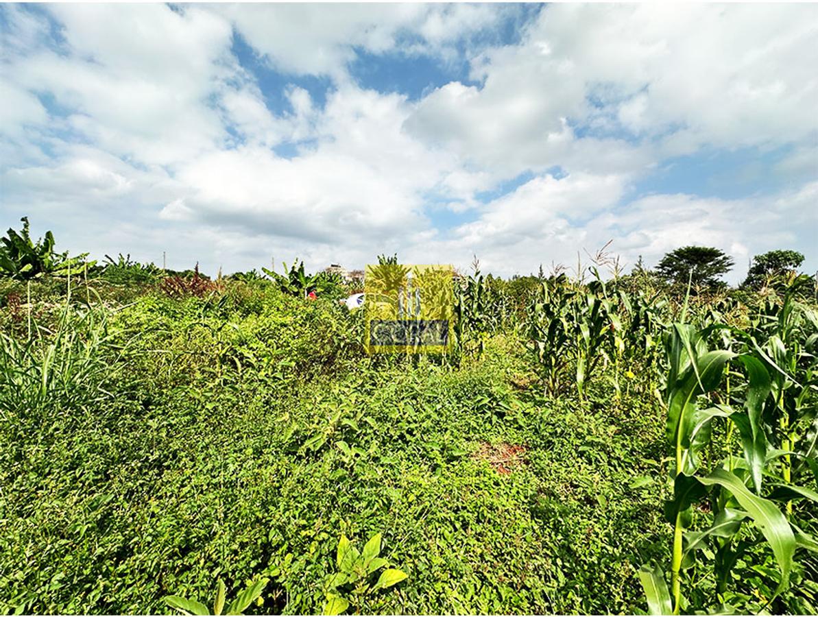 Land in Ruiru - 2