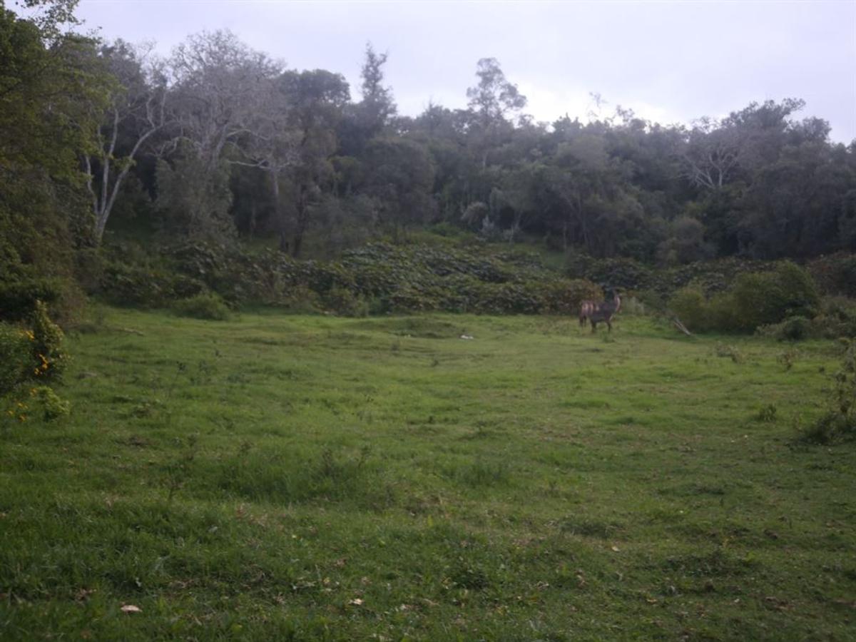 2,023 m² Land in Nanyuki - 3