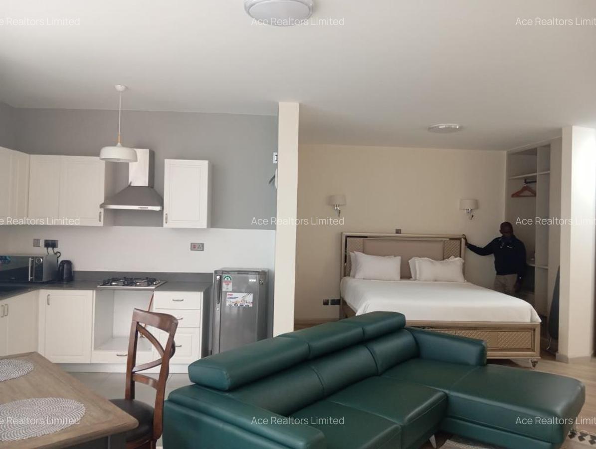 Furnished Studio Apartment with Swimming Pool at Muthangari Drive - 2