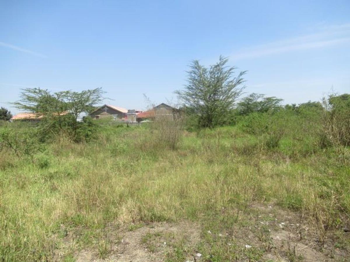 23,796 m² Commercial Land at Nyasa Road - 5