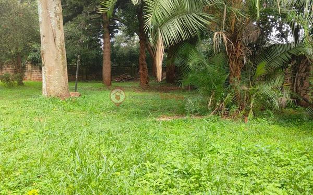 Residential Land at Tender Estate - 9