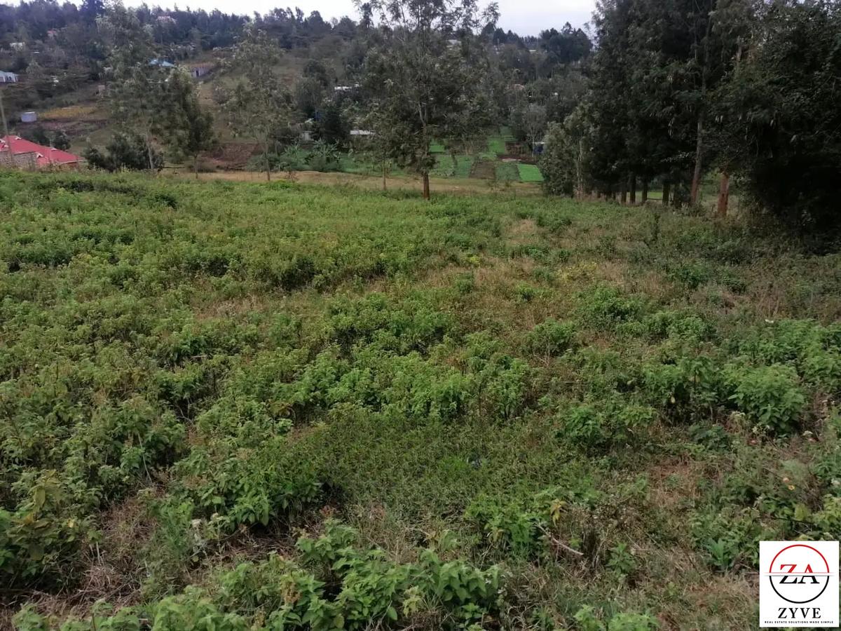 0.25 ac Residential Land at Mhasibu Silver Birch Estate - 4