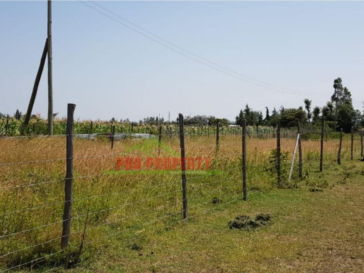 500 m² Land in Nanyuki - 11