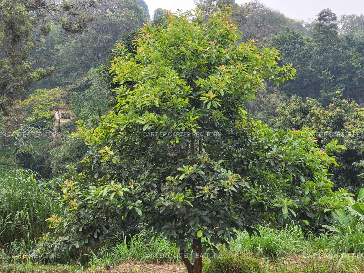 Land in Parklands - 1