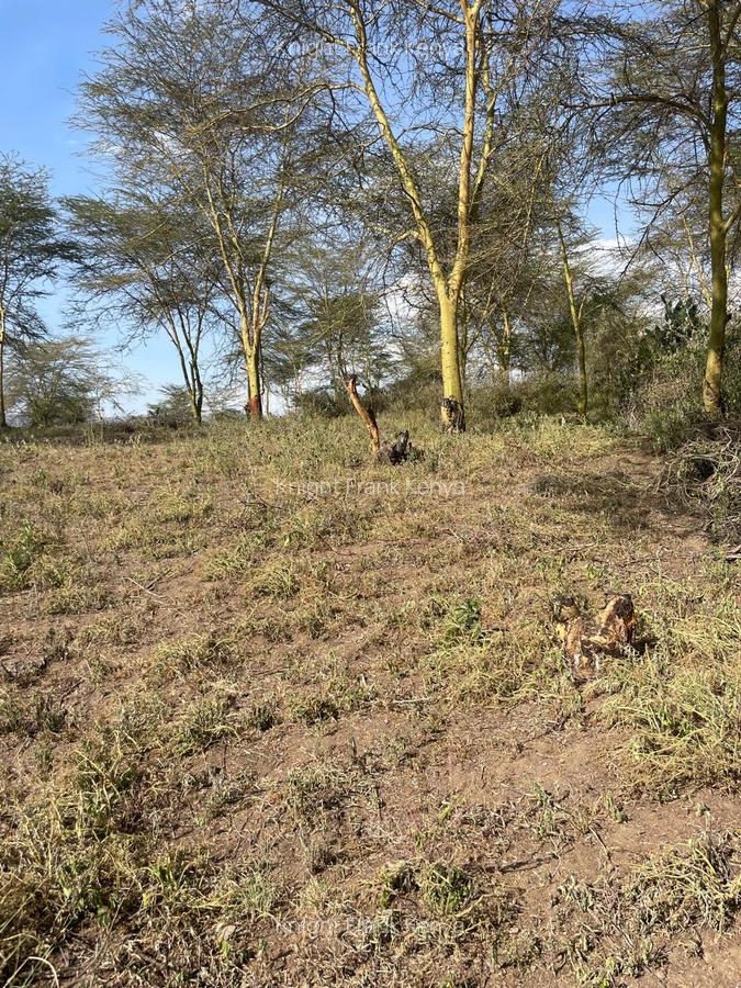 139 ac Land in Naivasha - 7