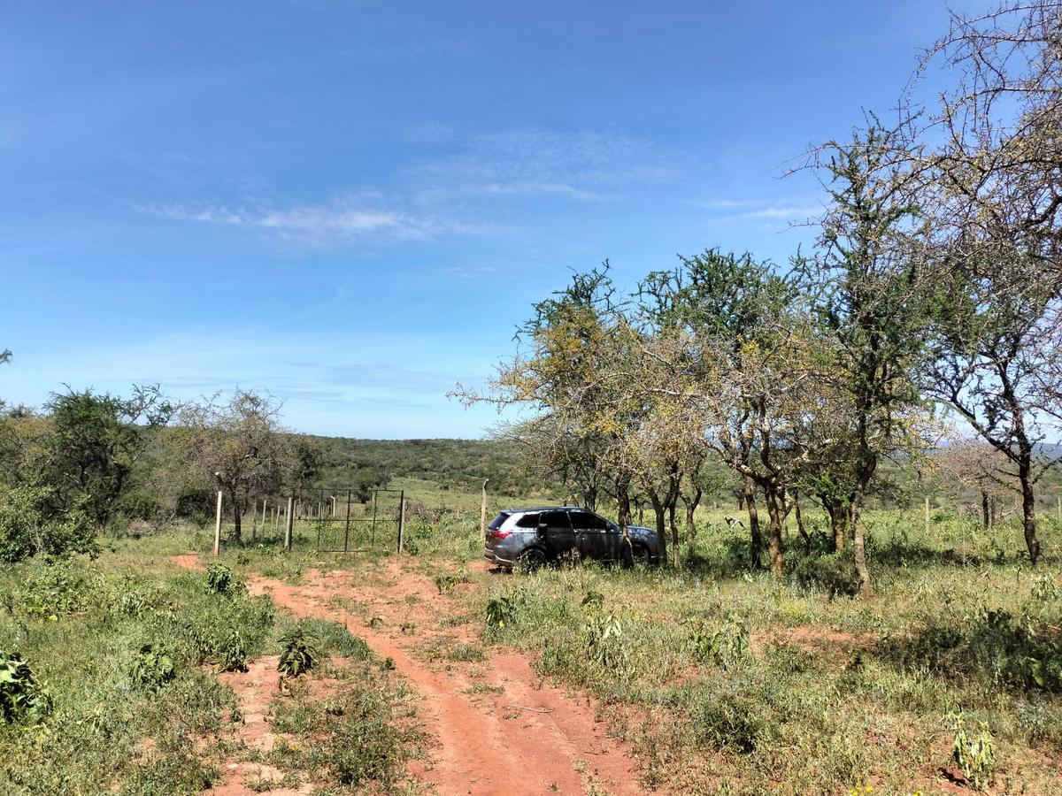 land at bisil