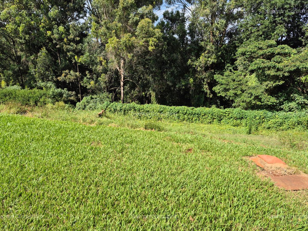 Land in Muthaiga - 4