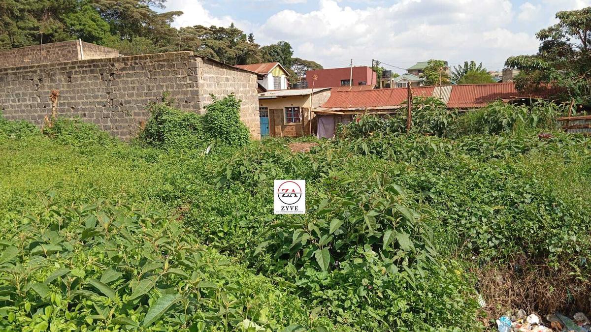 0.25 ac Land at Near Karuri Level 3 Hospital - 2