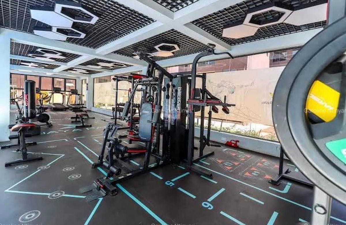 2 Bed Apartment with En Suite in Kileleshwa - 8