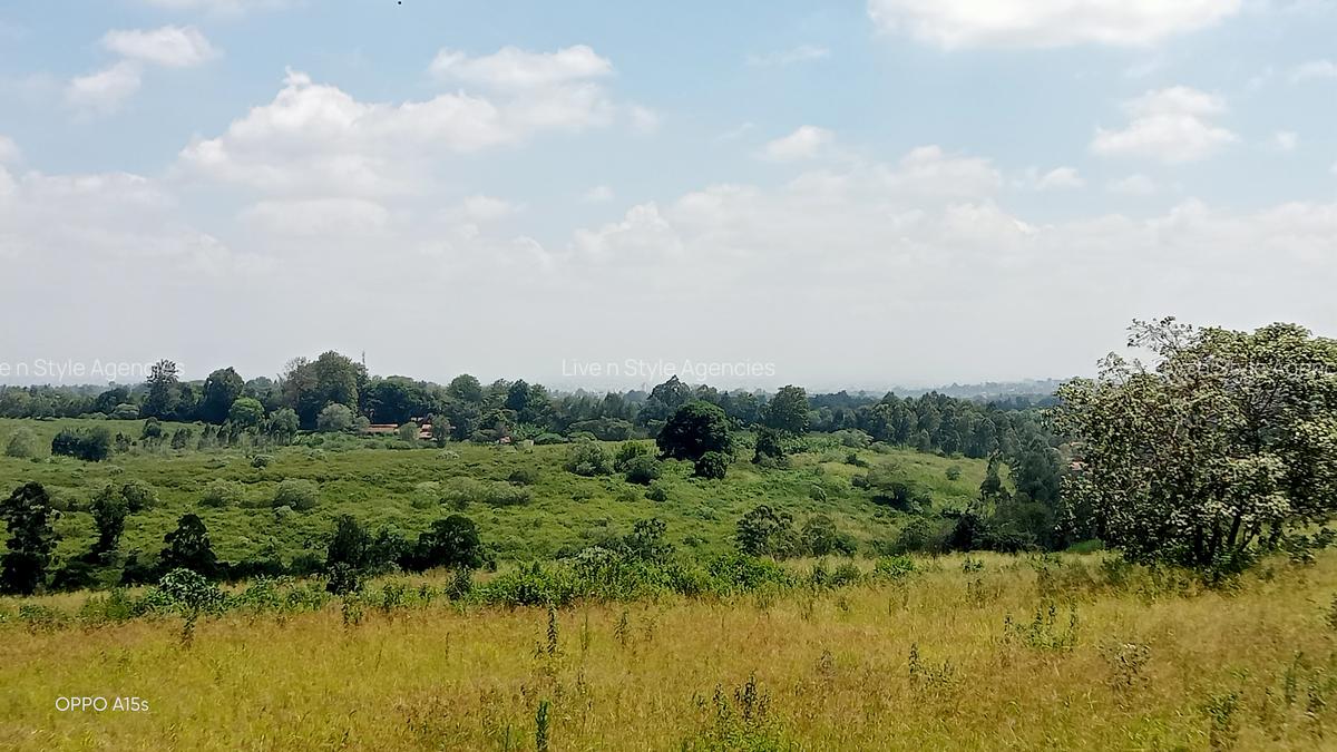 Residential Land in Runda - 13
