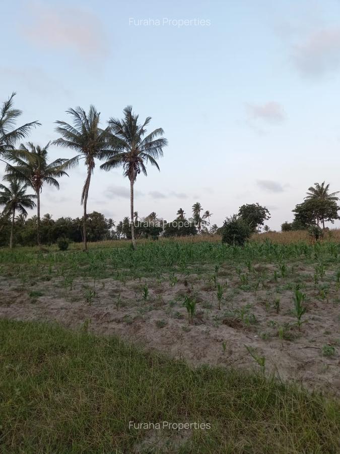 12 ac Commercial Land at Bomani Area - 2