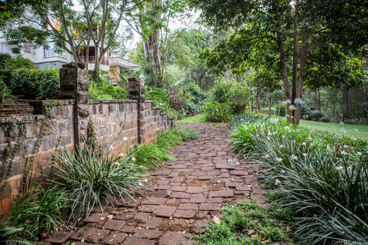 Furnished 2 Bed Apartment with En Suite in Muthaiga - 12