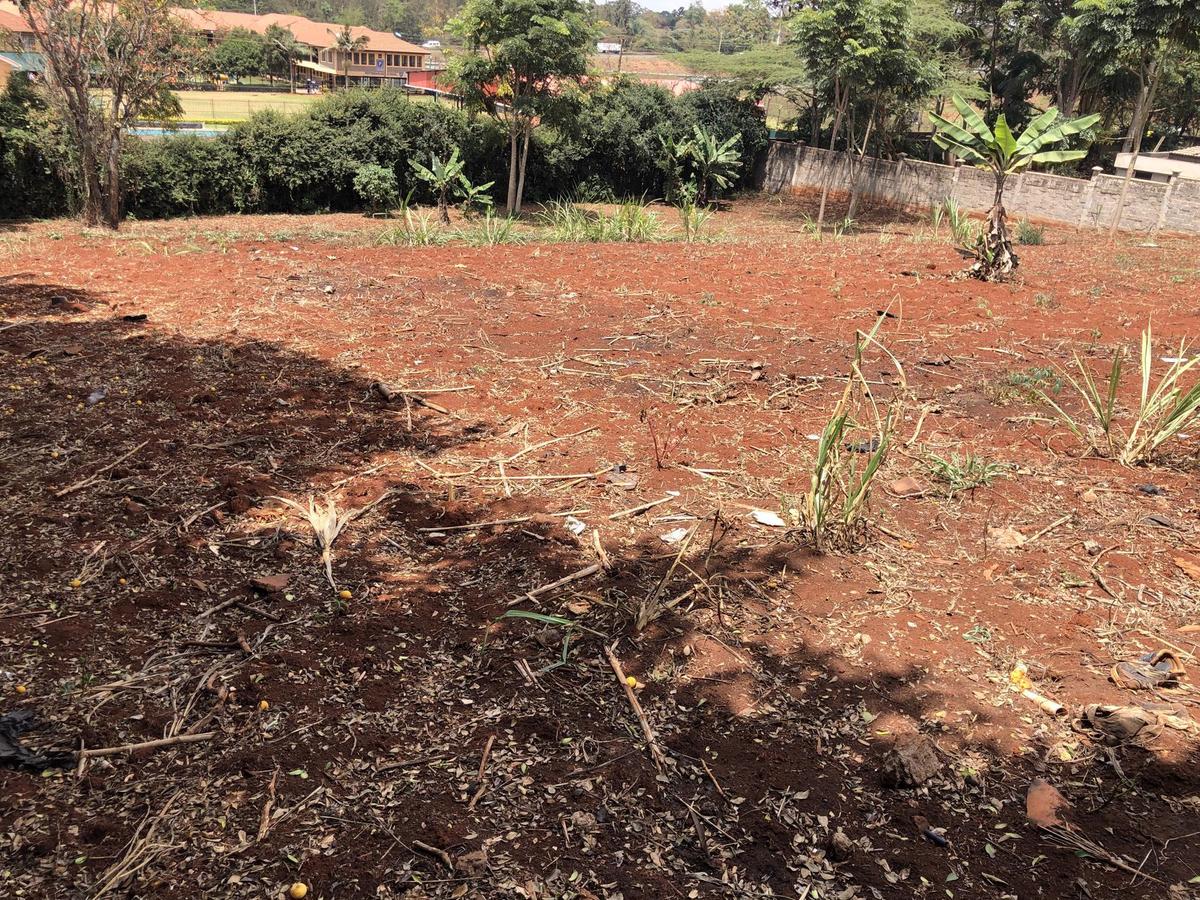 Residential Land in Runda - 4