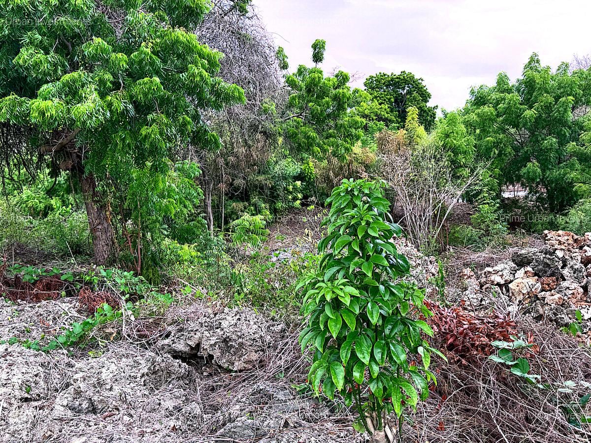 2,010 m² Residential Land at Second Row Kuruwitu Beach - 11