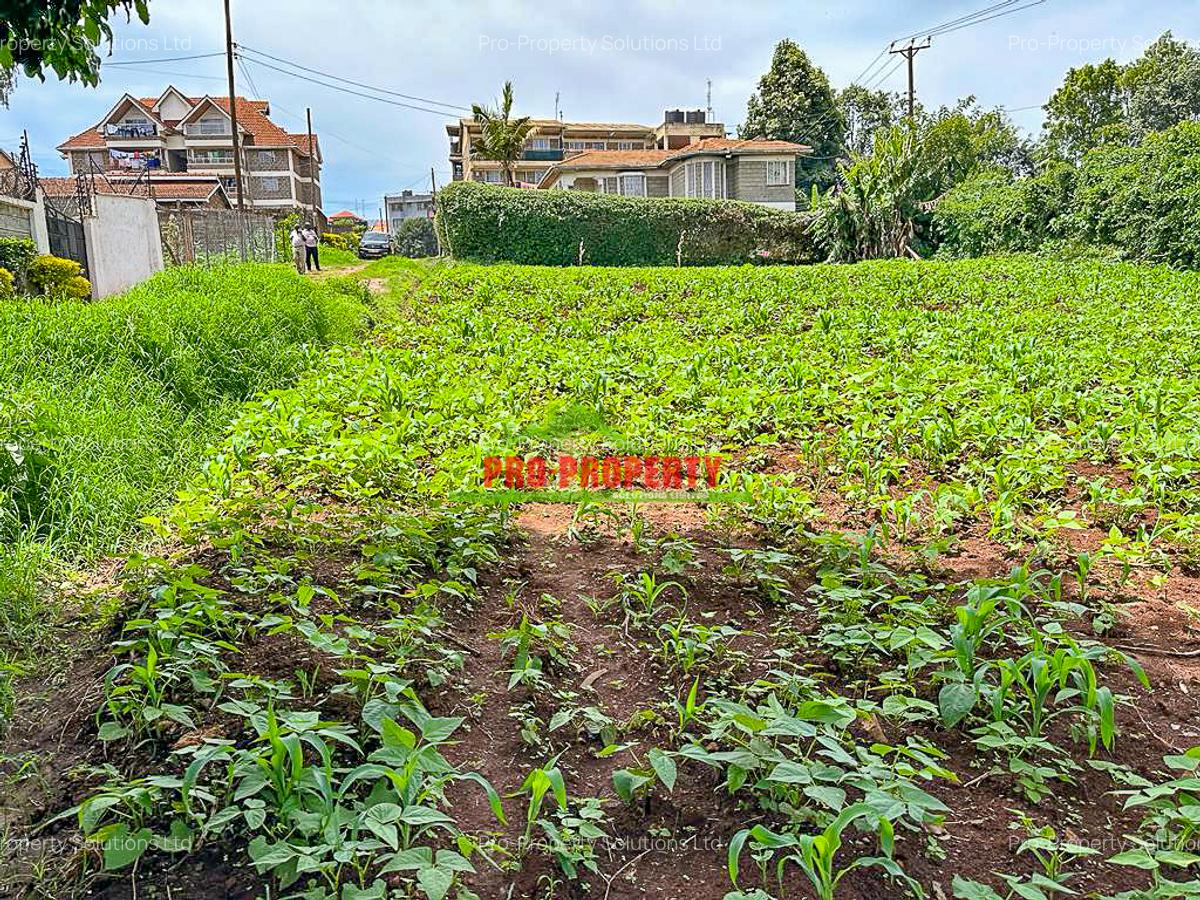 0.05 ha Commercial Land in Kikuyu Town - 6