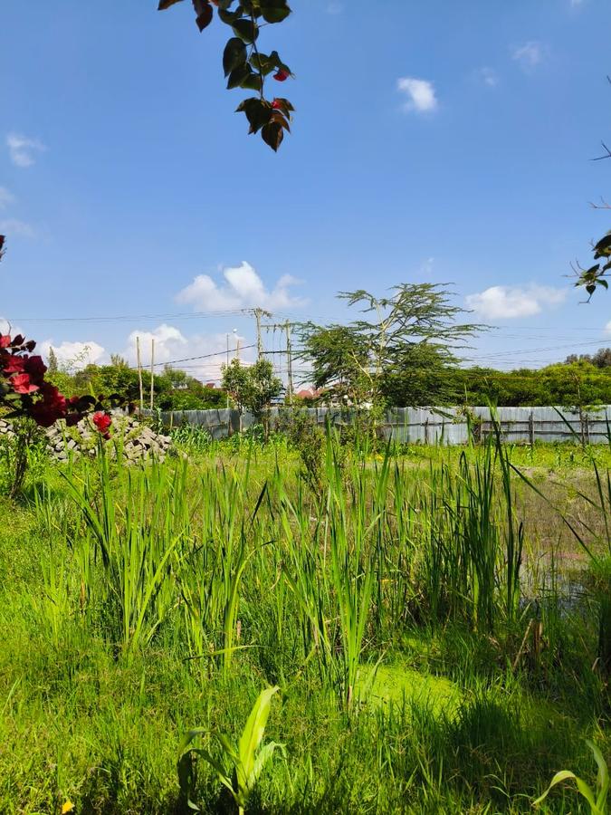 Residential Land at Karen - 13