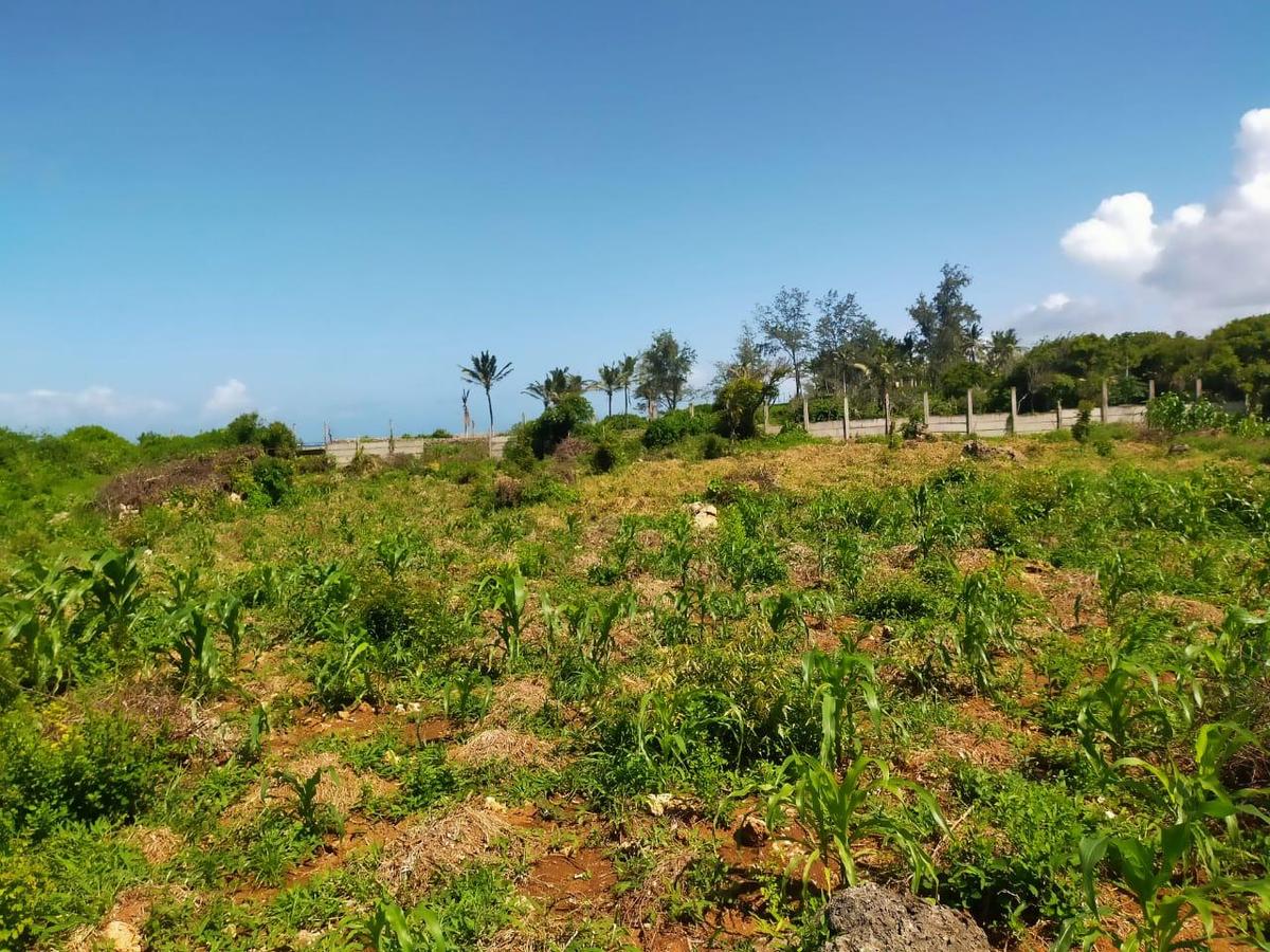 Land in Kilifi County - 14