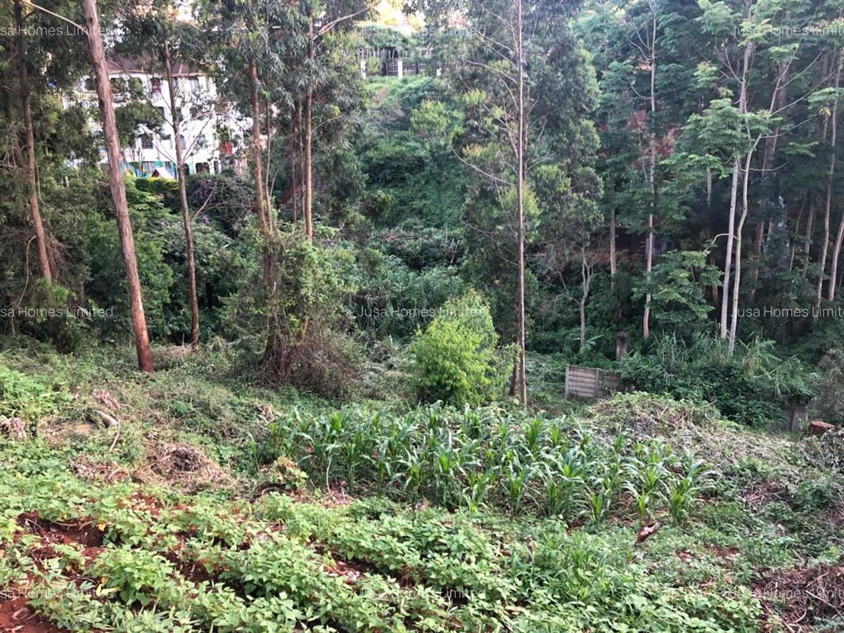 1.7 ac Land at Peponi Road - 3