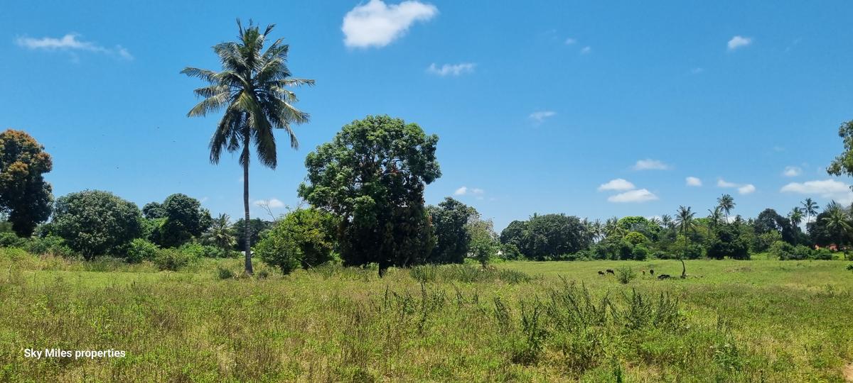 6 ac Land at Mtepeni - 3