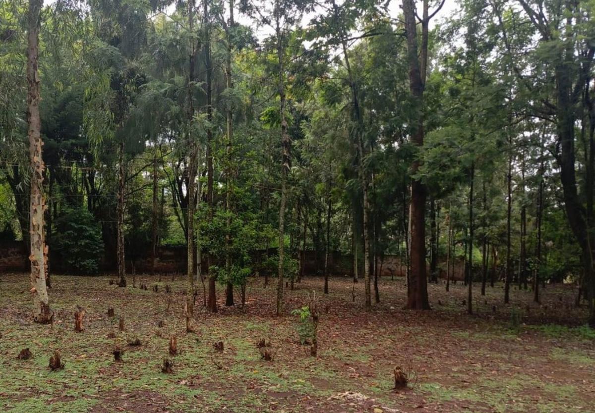 0.5 ac Residential Land at Three Dee Lane - 4