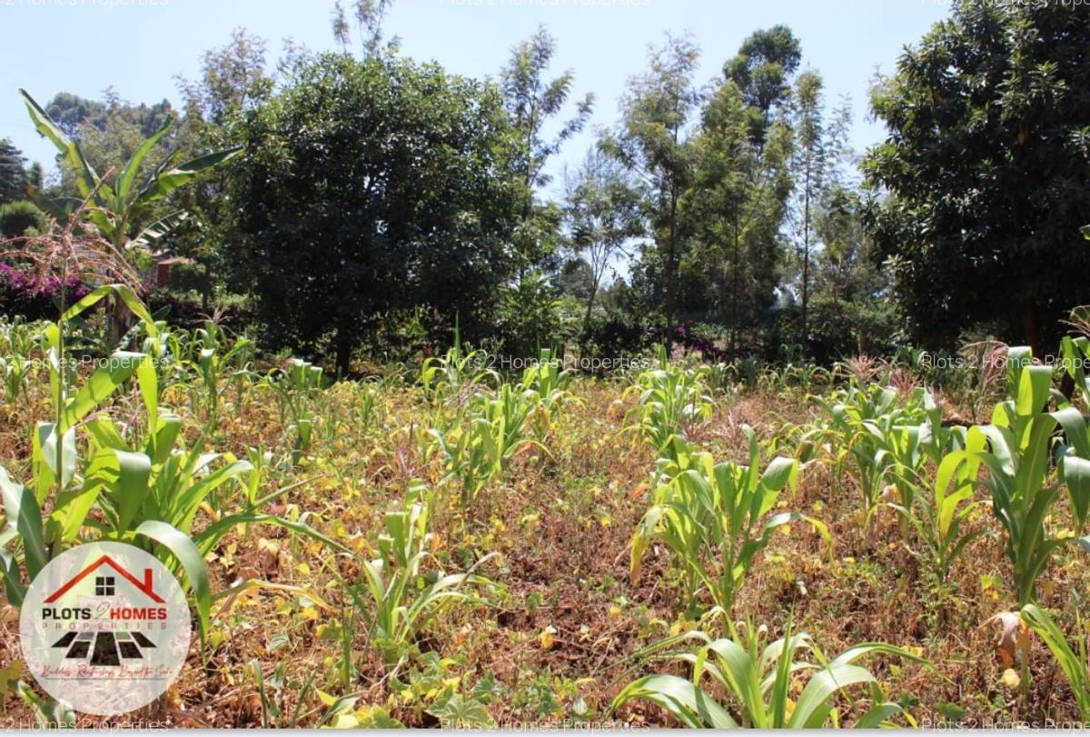 800 m² Residential Land at Kamuita Area - 5