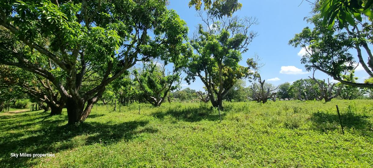 25 ac Land at Mtwapa - 10