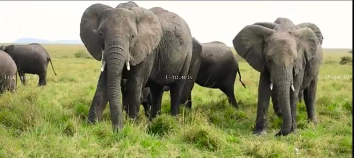 33 ac Land at Narok County - 12