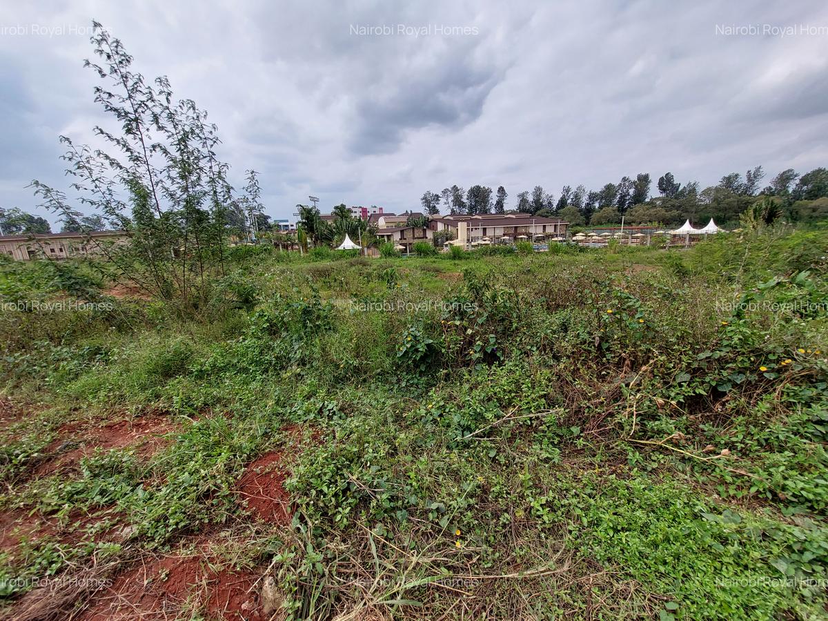 Residential Land at Runda Grove - 8