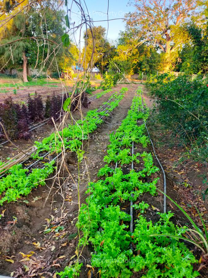 Land in Nyali Area - 5