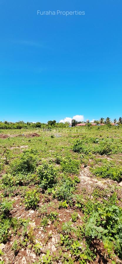 Land at Diani Beach - 13