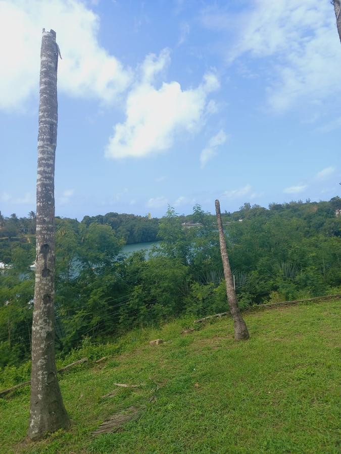 5.4 ac Land in Mtwapa - 5