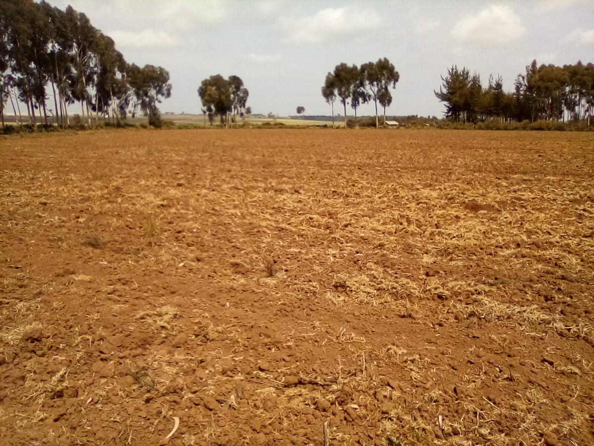 Land at Timau - 4