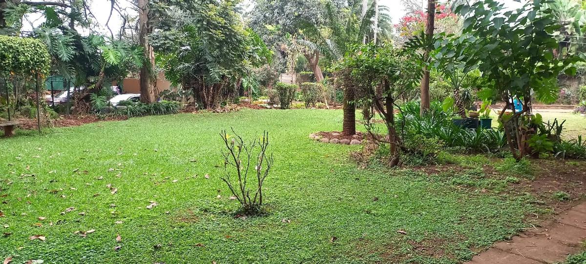 1.5 ac Land in Lavington - 13