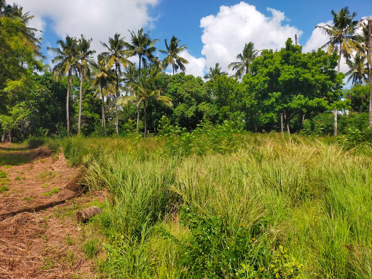 Land in Kilifi County - 18