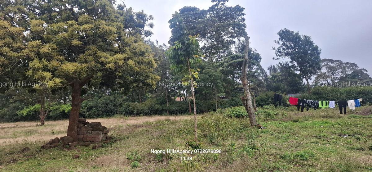 Residential Land in Ngong - 3