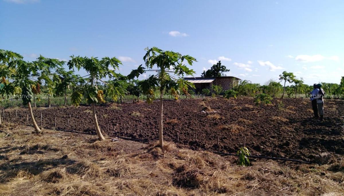 Land in Malindi - 12