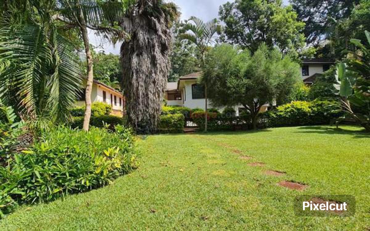 Commercial Property with Service Charge Included at Lavington - 6