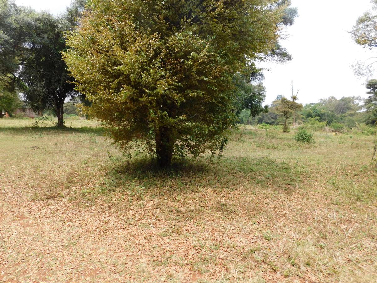 9 ac Land in Karen - 3