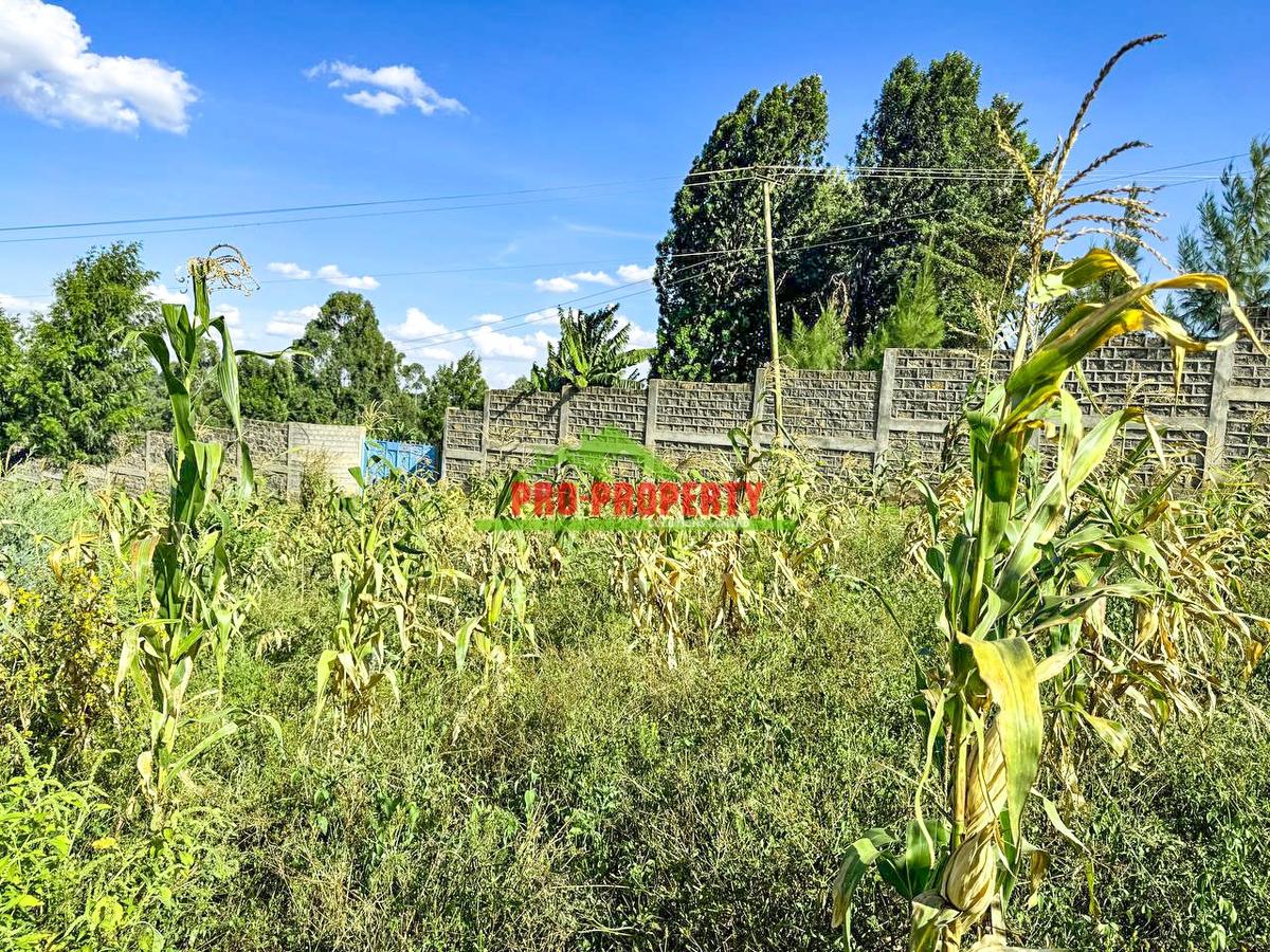 0.1 ha Residential Land at Muguga - 10