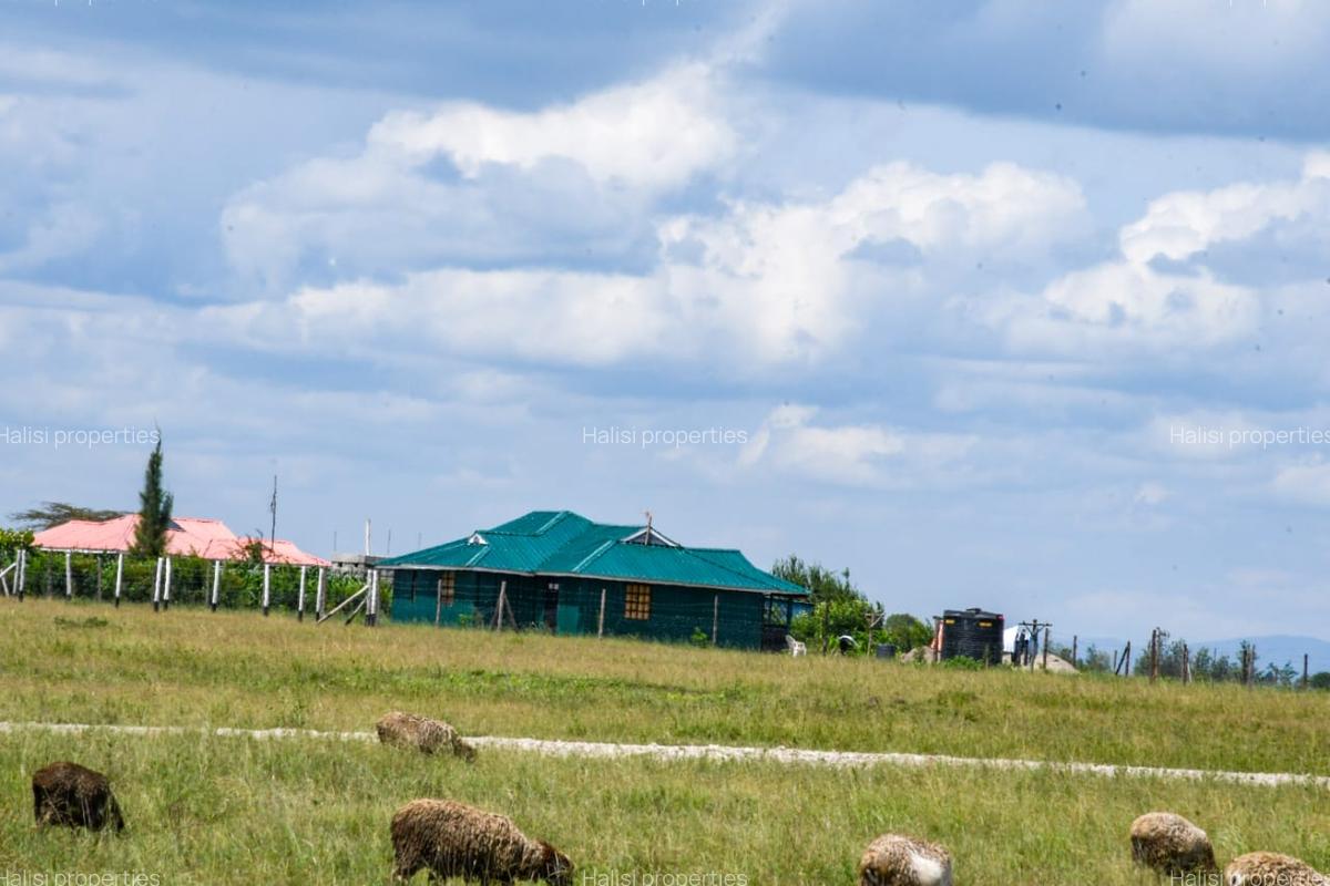 0.05 ha Land at Kitengela Kisaju Behind Isinya Feeds Spring Garden - 2