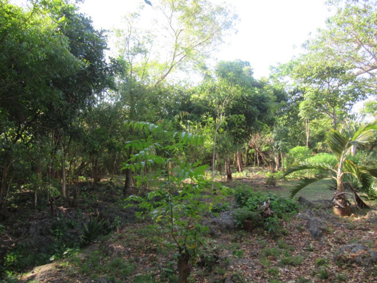 Land at Off Diani Beach Rd - 10