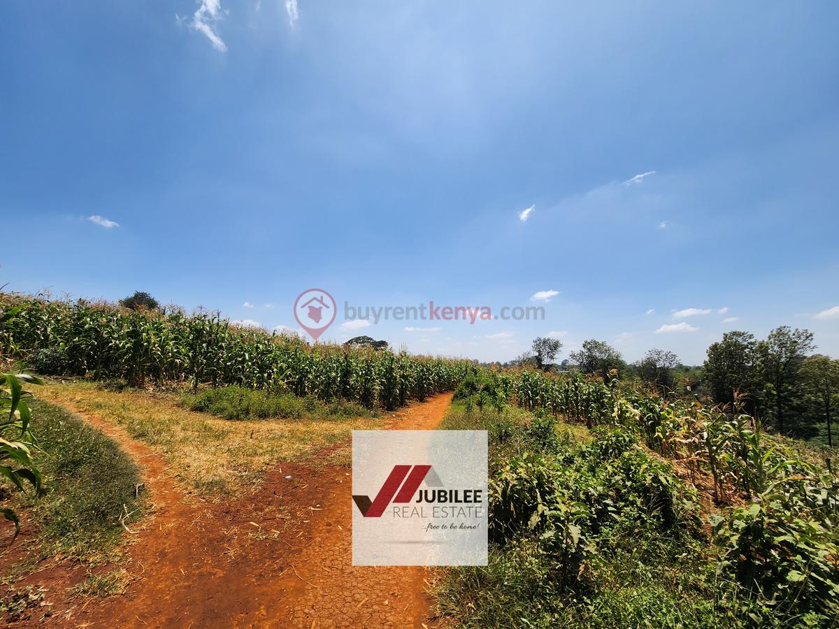 25 ac Land in Kitisuru - 5