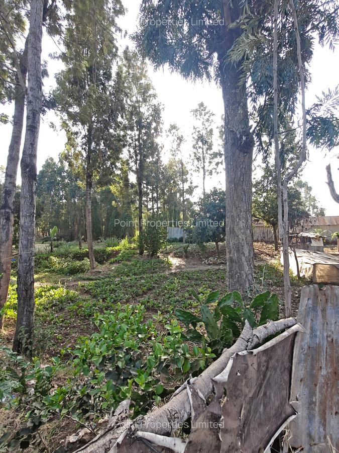 0.3 ac Land at Kabiria - 1