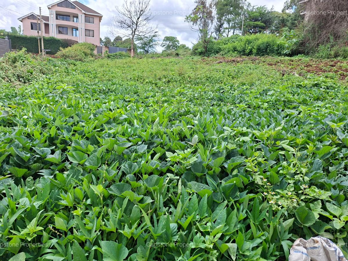 Residential Land in Runda - 9