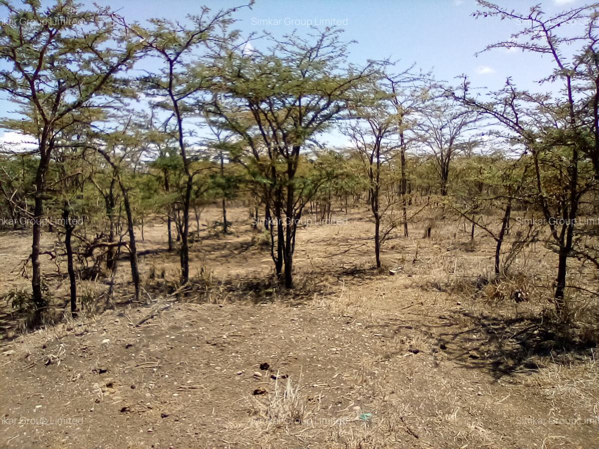 Land at Nanyuki - 8