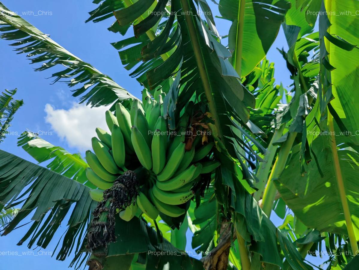 1 ac Land in Malindi - 6