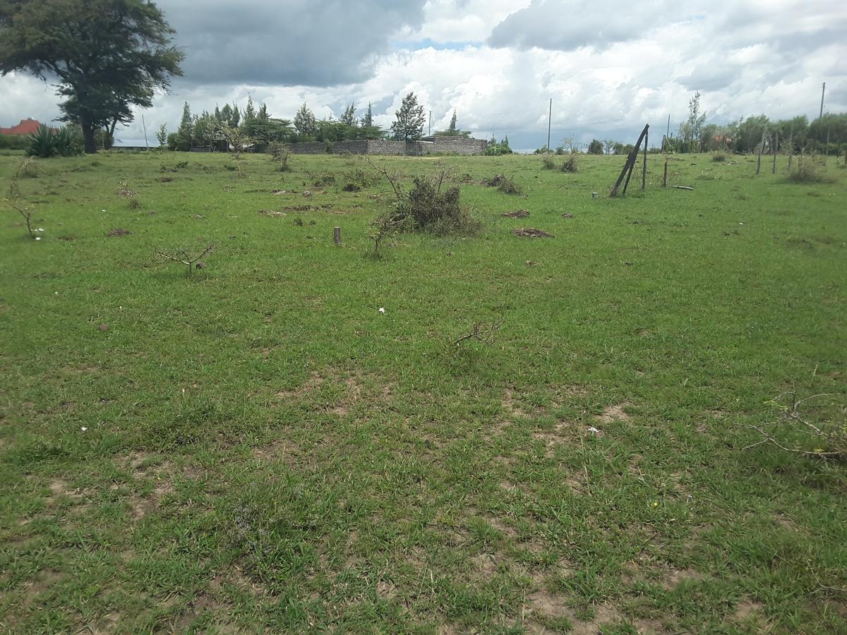 0.1 ha Residential Land in Ongata Rongai - 10