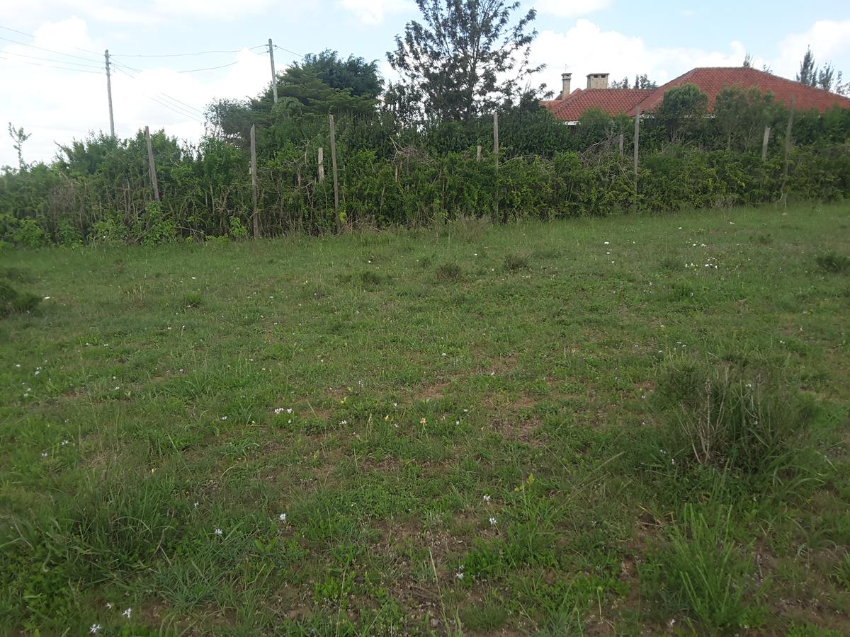 0.25 ac Land in Ongata Rongai - 7